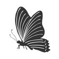 Butterfly stencil by hand drawing - vector